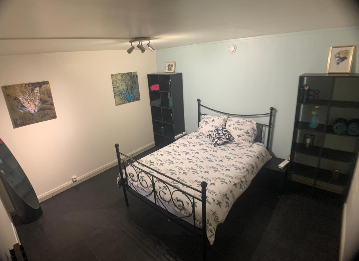 Appartement Cosy Proche Roissy Cdg Asterix Disneyland Paris Goussainville  Eksteriør billede