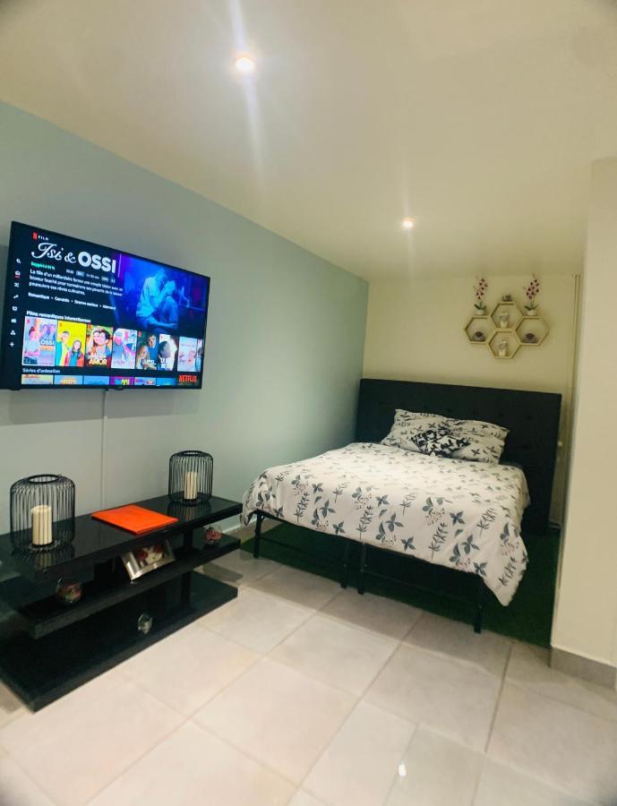 Appartement Cosy Proche Roissy Cdg Asterix Disneyland Paris Goussainville  Eksteriør billede